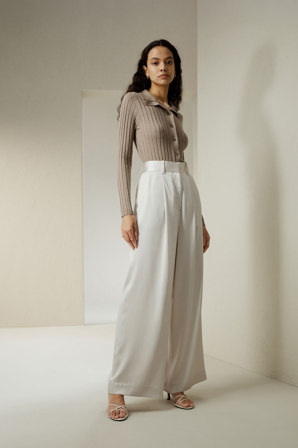 High-Waisted Wide Leg Dense Silk Pants